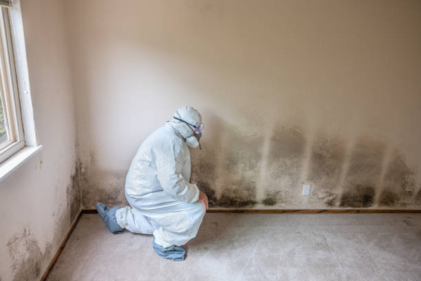 Best Commercial Mold Inspection  in Buena Park, CA